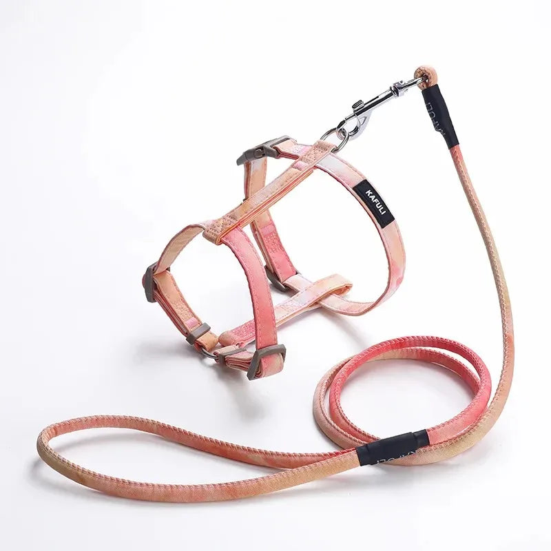 Cat Harness & Leash Set — Breakaway Design