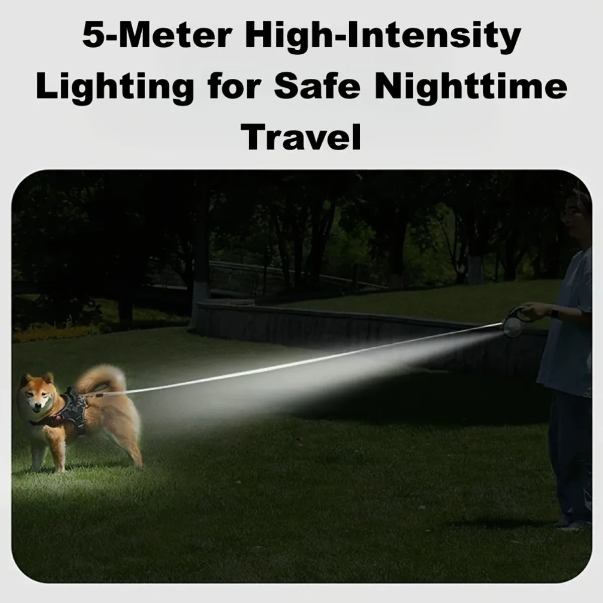 Retractable Dog Leash with LED Lights — 360° Swivel