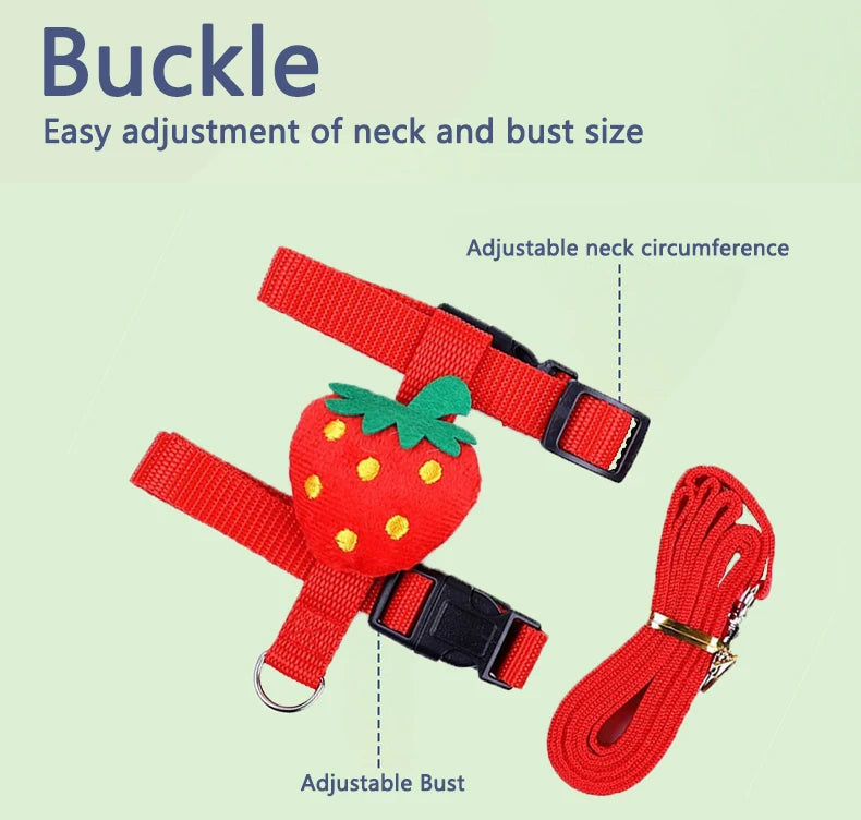 Adjustable Harness & Leash Set for Small Animals