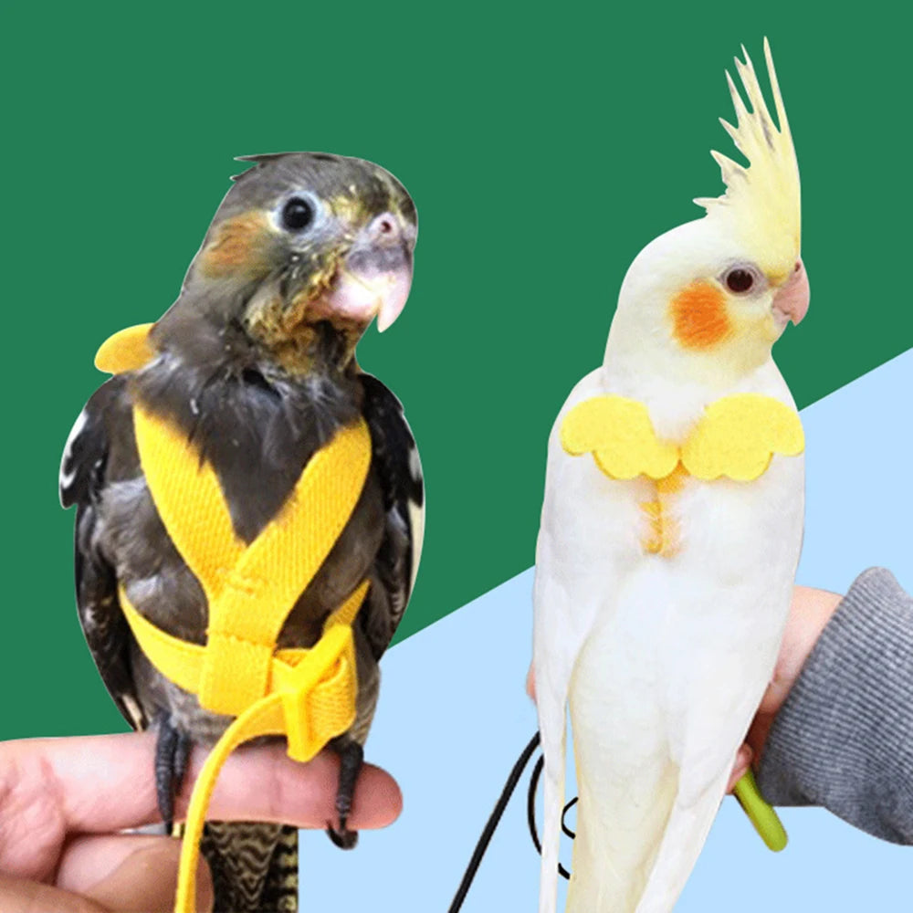 Adjustable Parrot Harness & Leash Set