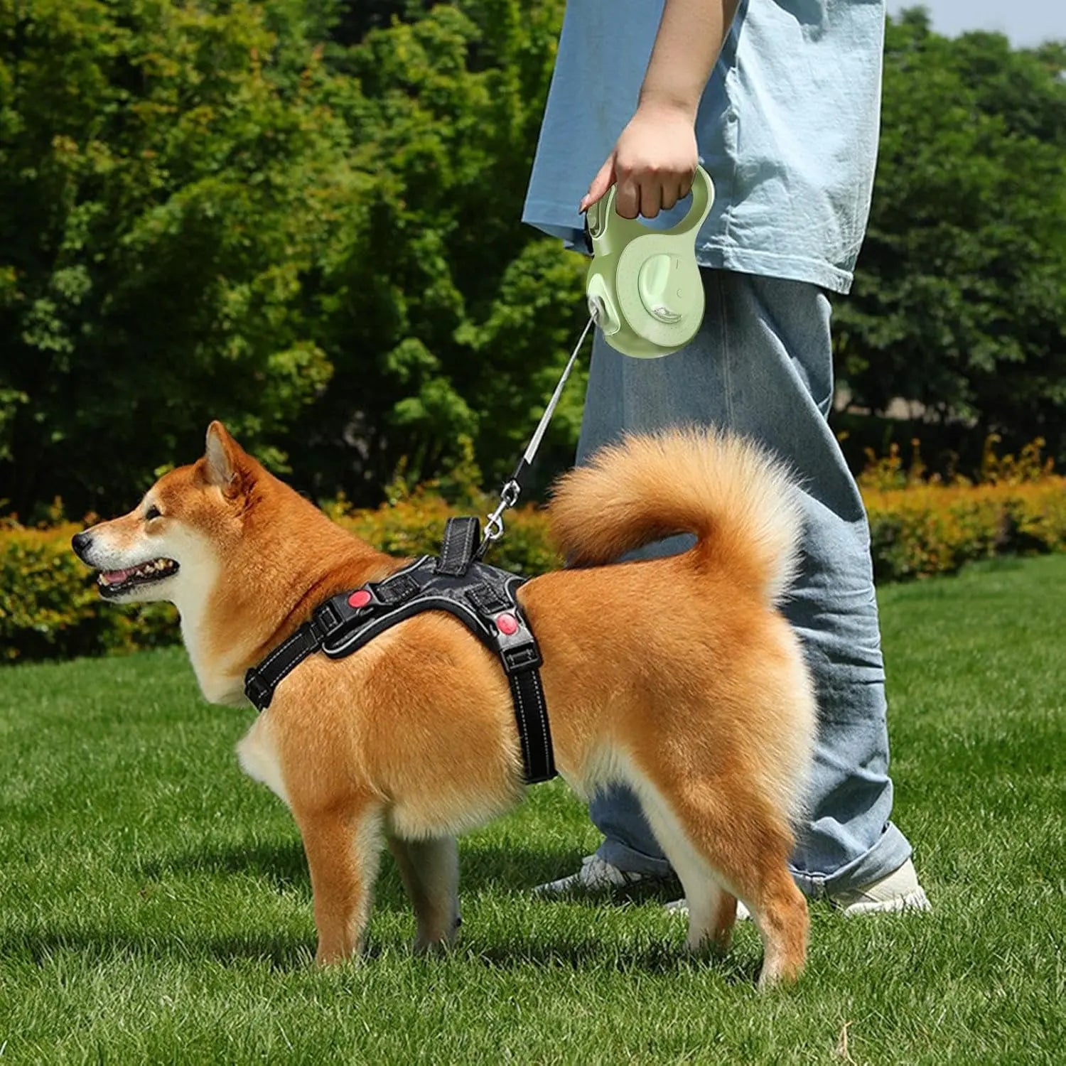 Retractable Dog Leash with LED Lights — 360° Swivel