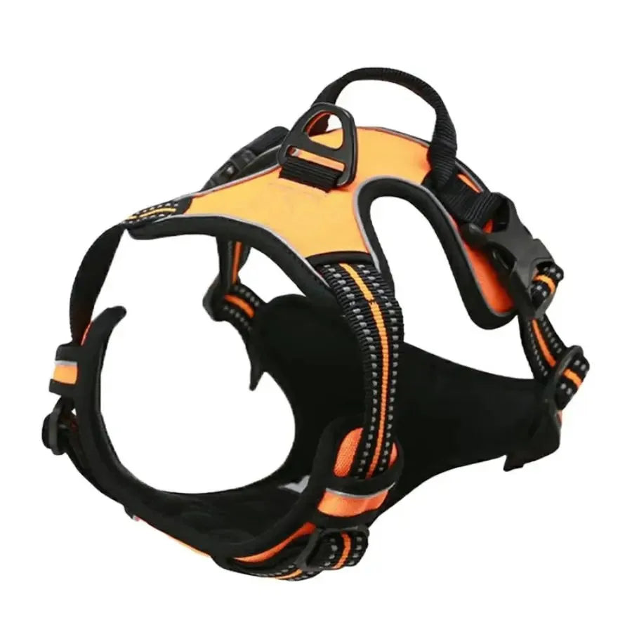 Dog Harness Collar & Leash Set