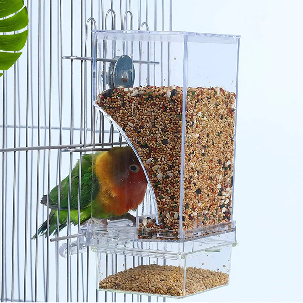 No-Spill Automatic Bird Feeder & Water Dispenser