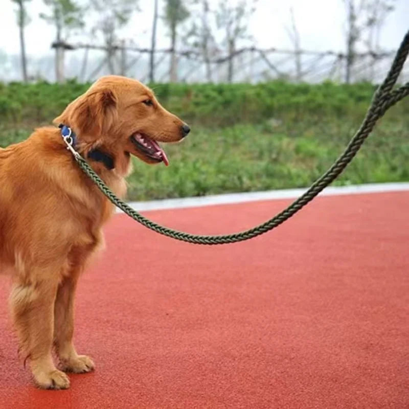 Heavy-Duty Braided Nylon Dog Leash