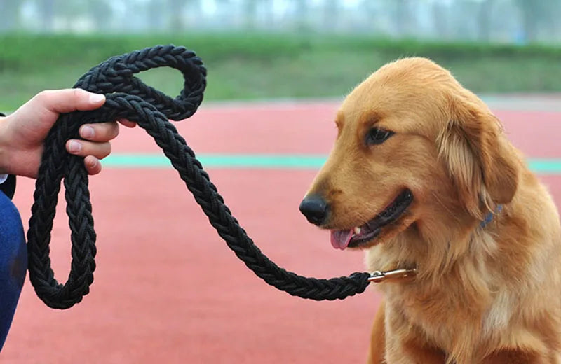 Nylon Dog Training Leash