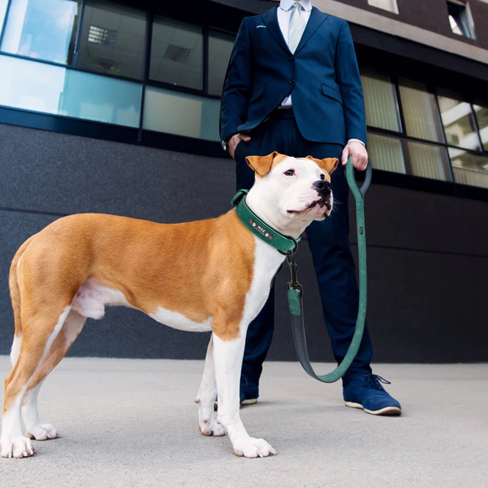 Genuine Leather Dog Collar & Leash Set