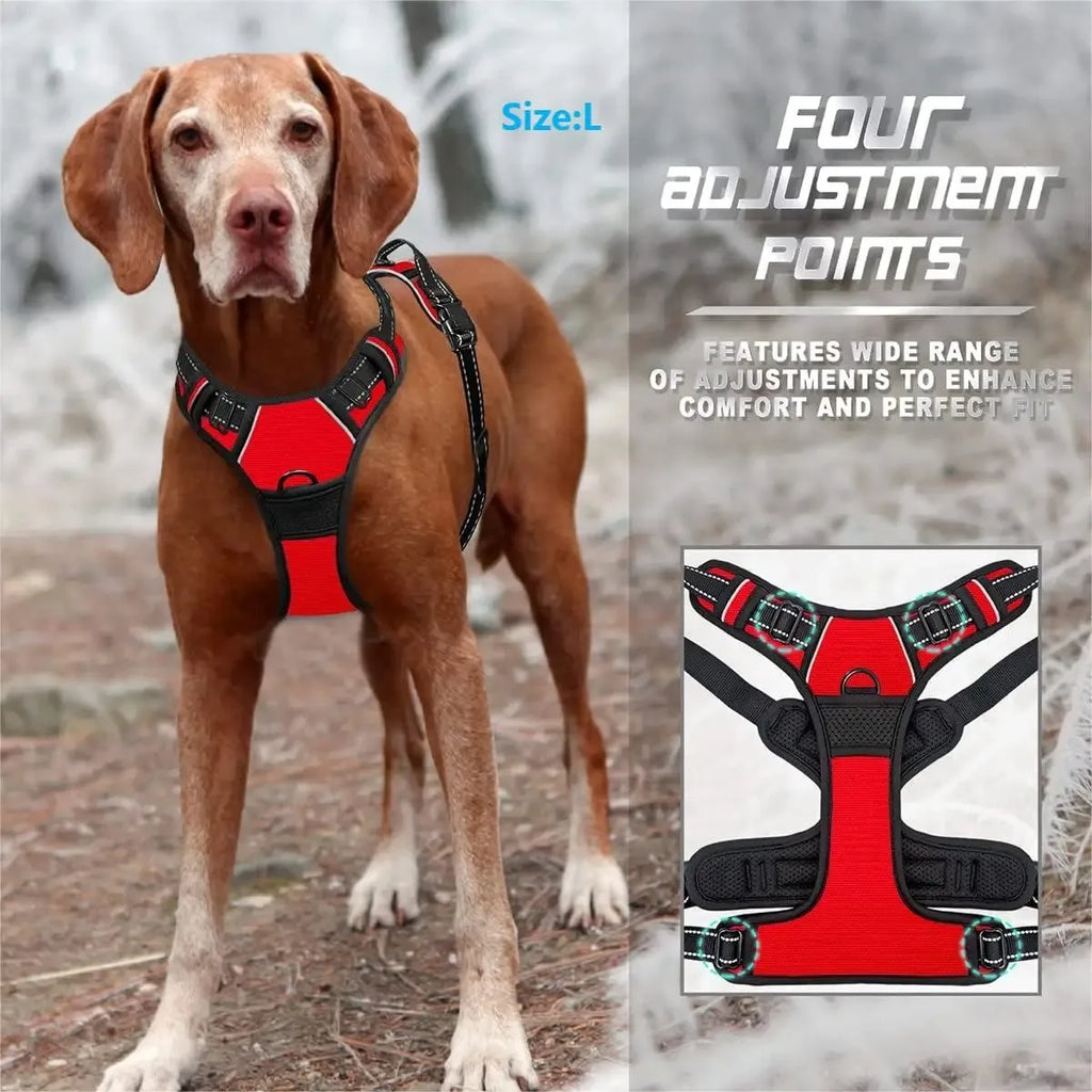 Dog Harness Collar & Leash Set