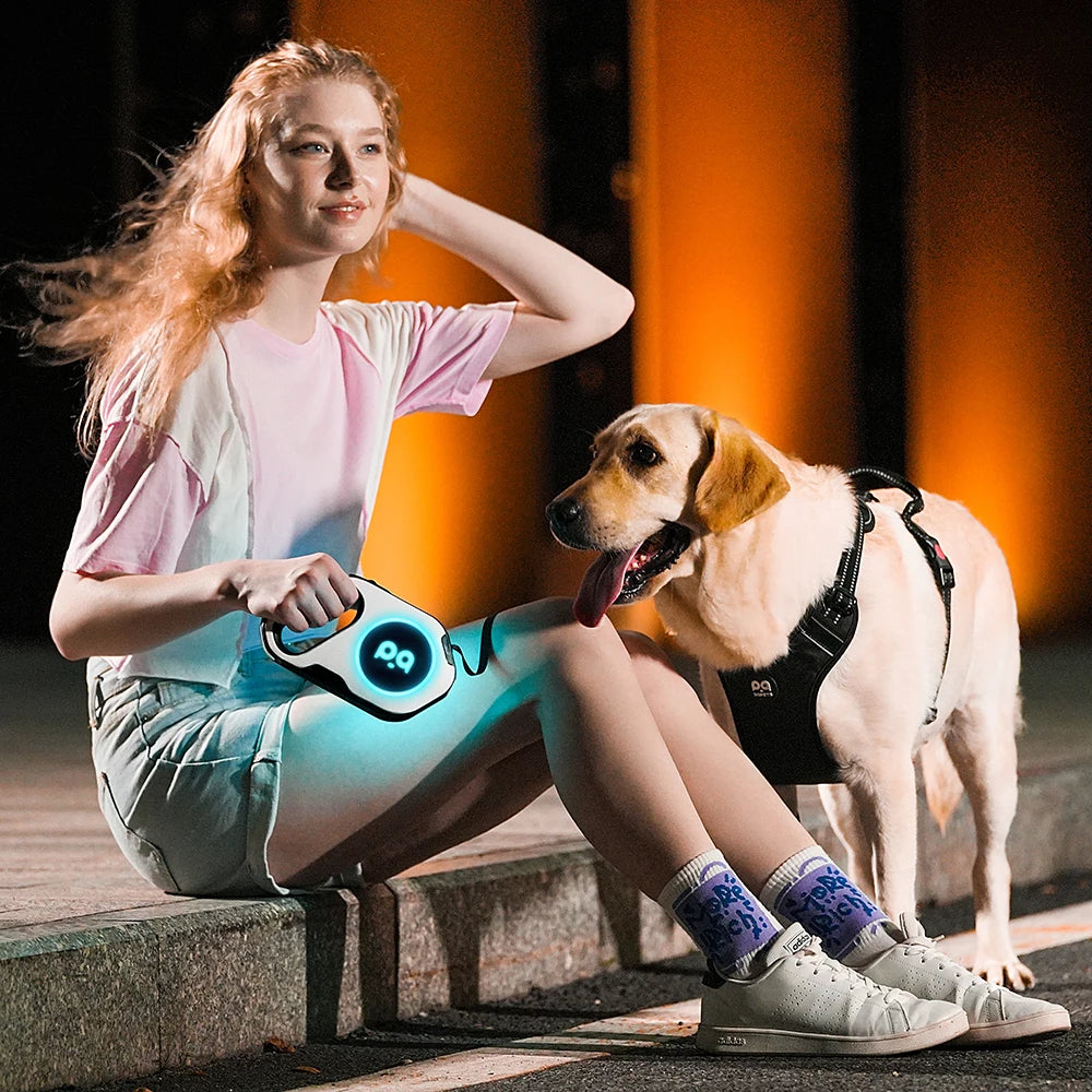 Retractable Dog Leash 5M — LED & Quick Release