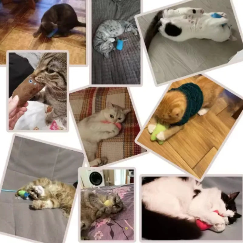 Catnip Teeth Grinding Plush Cat Toy