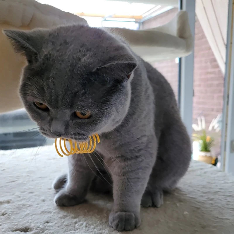 Cat Spring Toy