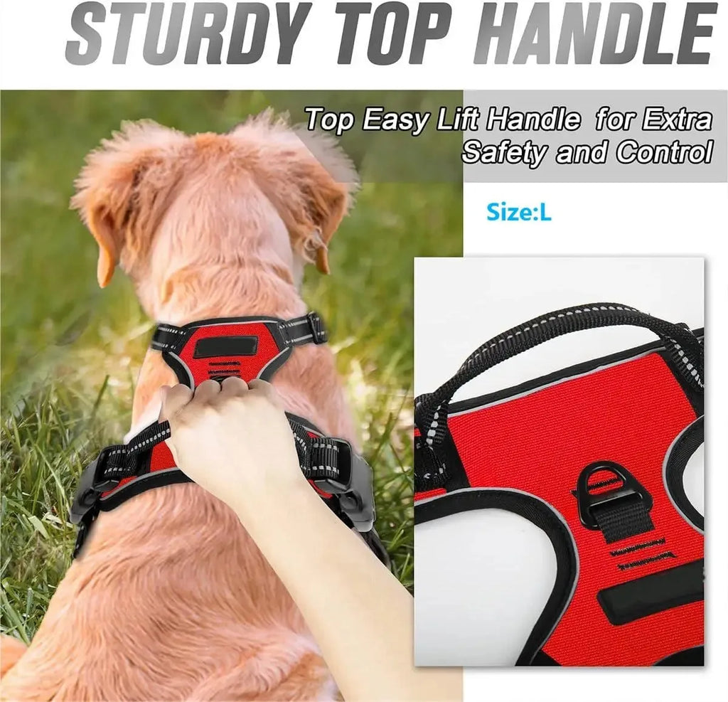 Dog Harness Collar & Leash Set