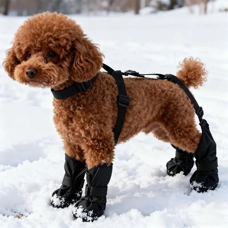 Waterproof Dog Boots — Silicone Paw Protection | Black & Yellow | Sizes M–XL