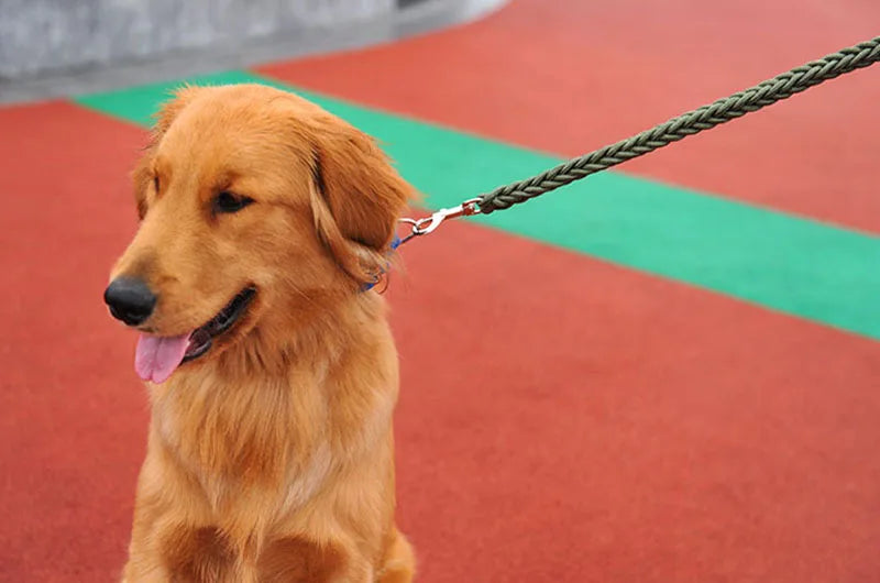 Nylon Dog Training Leash