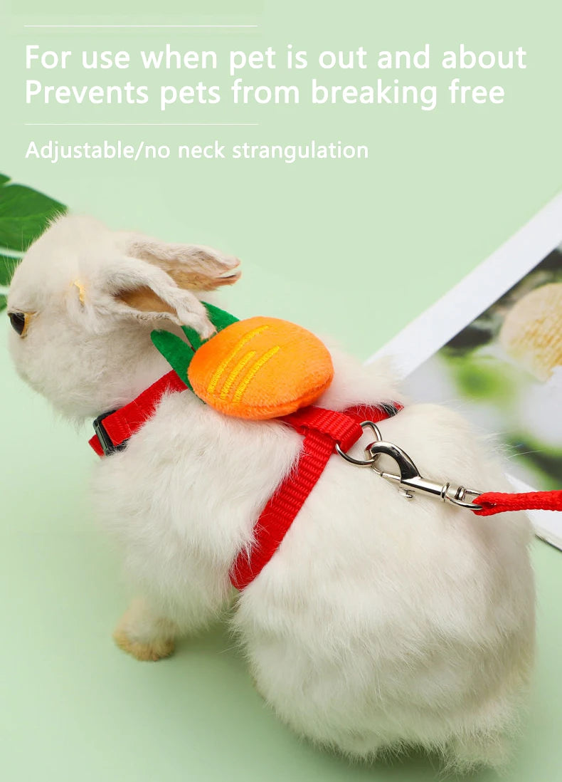 Adjustable Harness & Leash Set for Small Animals
