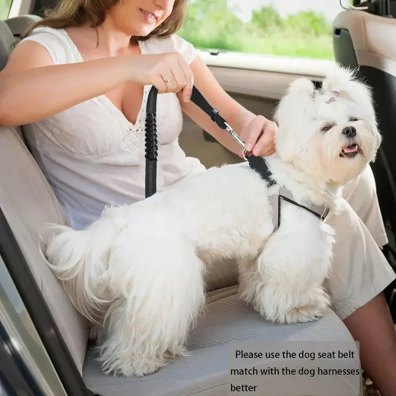 Bungee Retractable Dog Car Seat Belt