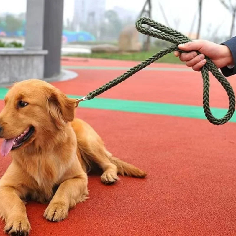 Heavy-Duty Braided Nylon Dog Leash