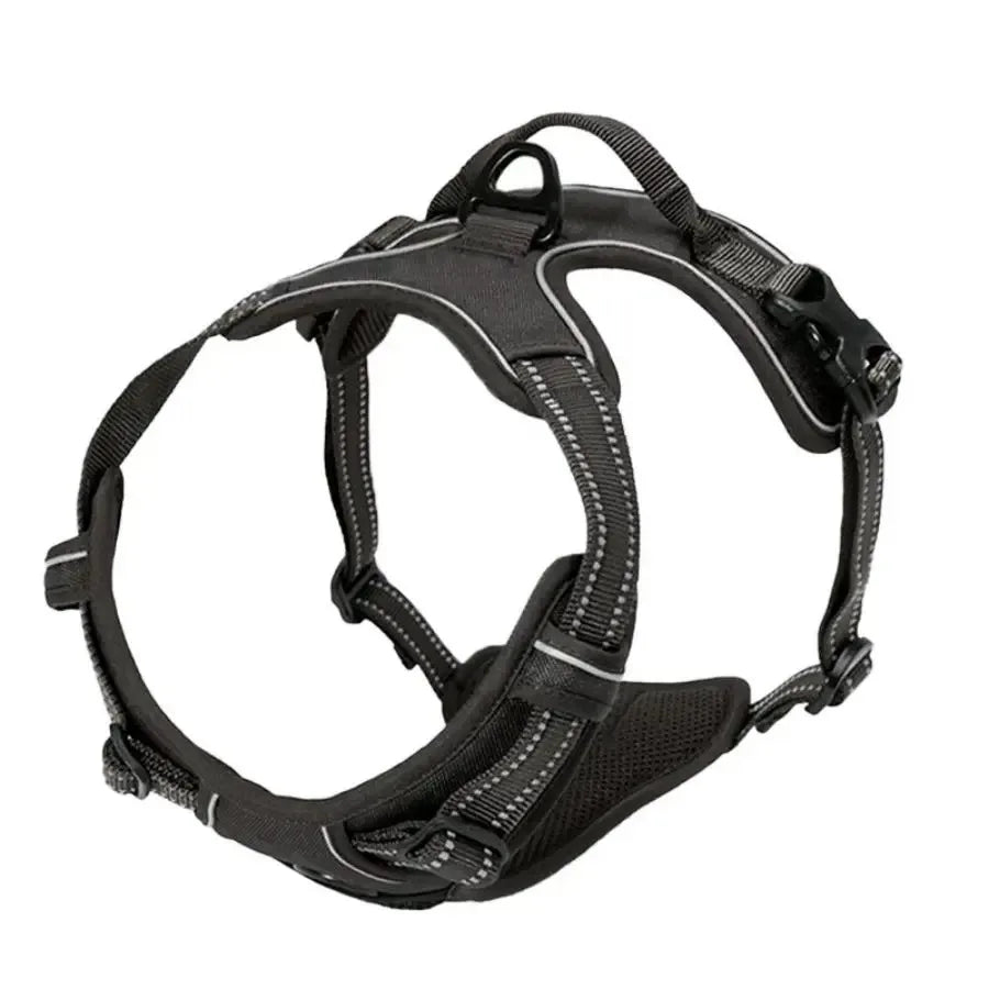 Dog Harness Collar & Leash Set