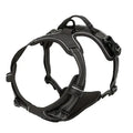 Dog Harness Collar & Leash Set