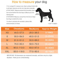 Dog Harness ID Tag Custom Harness