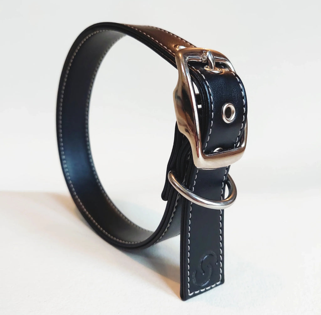 Black leather pet collar with metal buckle and stitching, pet supplies product